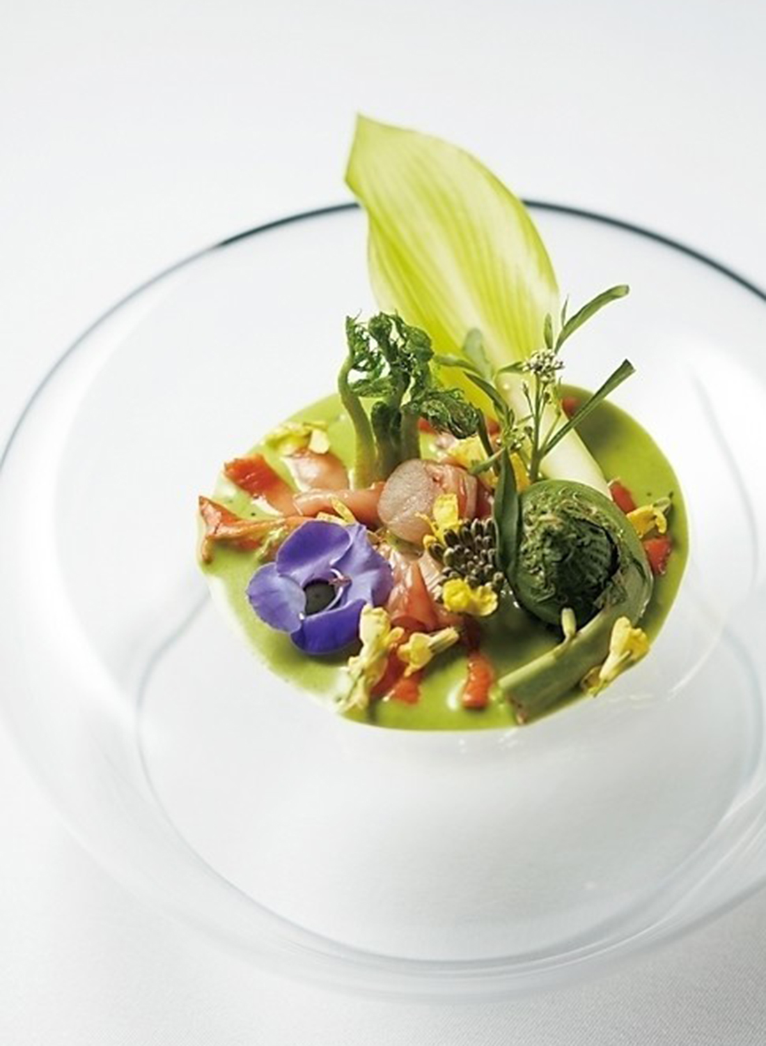 赤貝、山菜、紫の 花などで早春の芽吹きを表現したひと皿。