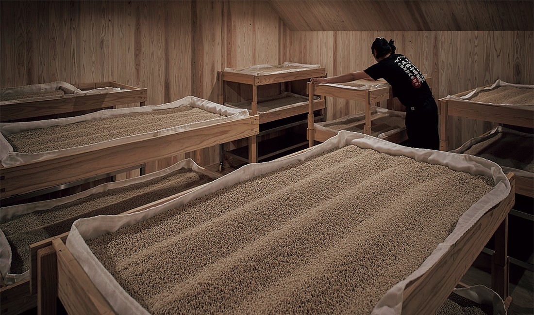 尾鈴山蒸留所での麹の製造風景。温湿度を管理し、人の手で丁寧に麹を育てる。